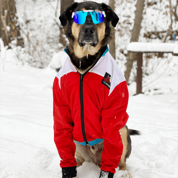 Pit Viper The Absolute Freedom Polarized Pit Viper Sunglasses