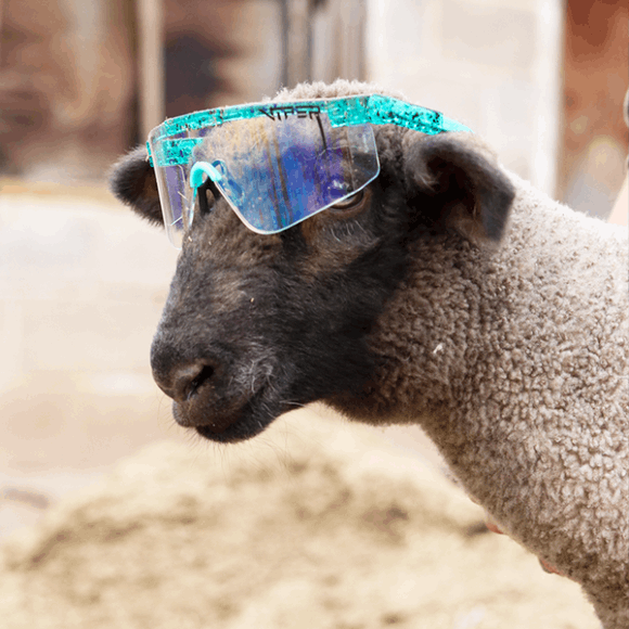 Pit Viper The Baja Blaster 2000s